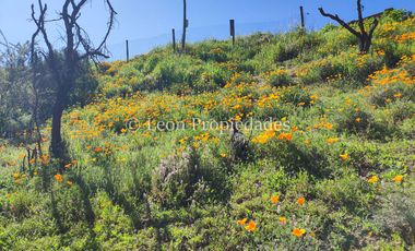 Leon Propiedades vende parcela con casa en condominio, sector Miraflores, Curacaví.