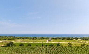 Terreno en venta con acceso directo a la playa – 250 m², Puerto Escondido