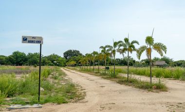 Terreno en venta con acceso directo a la playa – 250 m², Puerto Escondido