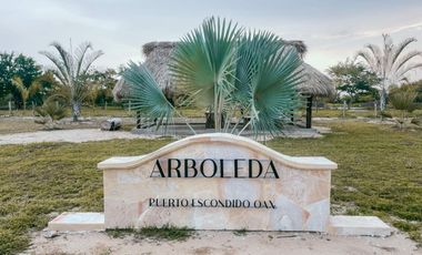 Terreno en venta con acceso directo a la playa – 250 m², Puerto Escondido