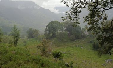 SE VENDE FINCA GANADERA VEREDA SAN BENITO AGUAZUL- VIA PAJARITO BOYACÁ