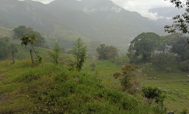 SE VENDE FINCA GANADERA VEREDA SAN BENITO AGUAZUL- VIA PAJARITO BOYACÁ