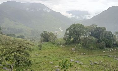 SE VENDE FINCA GANADERA VEREDA SAN BENITO AGUAZUL- VIA PAJARITO BOYACÁ