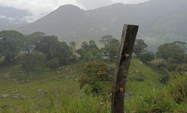SE VENDE FINCA GANADERA VEREDA SAN BENITO AGUAZUL- VIA PAJARITO BOYACÁ