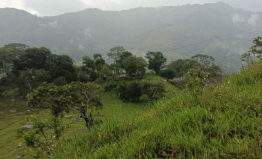 SE VENDE FINCA GANADERA VEREDA SAN BENITO AGUAZUL- VIA PAJARITO BOYACÁ