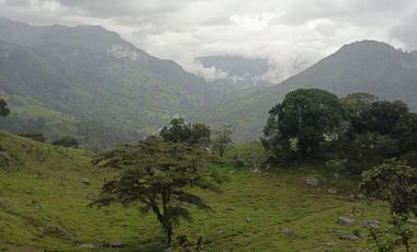 SE VENDE FINCA GANADERA VEREDA SAN BENITO AGUAZUL- VIA PAJARITO BOYACÁ