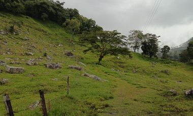 SE VENDE FINCA GANADERA VEREDA SAN BENITO AGUAZUL- VIA PAJARITO BOYACÁ