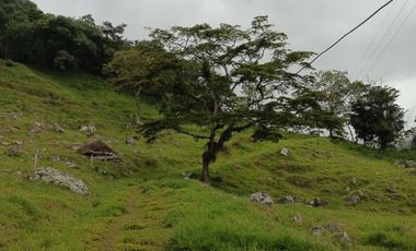 SE VENDE FINCA GANADERA VEREDA SAN BENITO AGUAZUL- VIA PAJARITO BOYACÁ