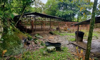SE VENDE FINCA GANADERA VEREDA SAN BENITO AGUAZUL- VIA PAJARITO BOYACÁ