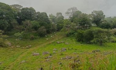 SE VENDE FINCA GANADERA VEREDA SAN BENITO AGUAZUL- VIA PAJARITO BOYACÁ