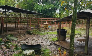 SE VENDE FINCA GANADERA VEREDA SAN BENITO AGUAZUL- VIA PAJARITO BOYACÁ