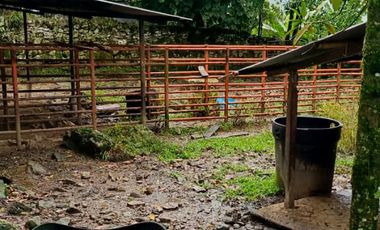 SE VENDE FINCA GANADERA VEREDA SAN BENITO AGUAZUL- VIA PAJARITO BOYACÁ