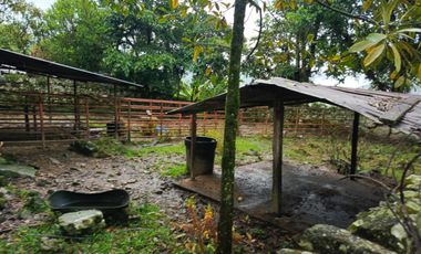 SE VENDE FINCA GANADERA VEREDA SAN BENITO AGUAZUL- VIA PAJARITO BOYACÁ
