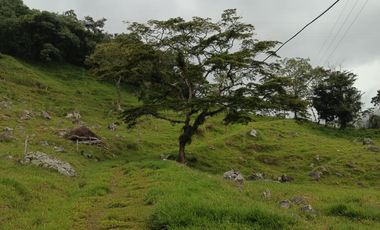 SE VENDE FINCA GANADERA VEREDA SAN BENITO AGUAZUL- VIA PAJARITO BOYACÁ