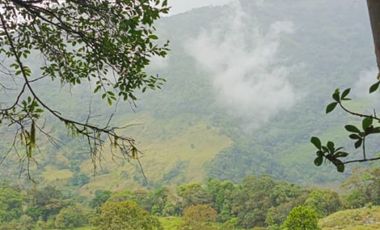 SE VENDE FINCA GANADERA VEREDA SAN BENITO AGUAZUL- VIA PAJARITO BOYACÁ