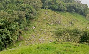 SE VENDE FINCA GANADERA VEREDA SAN BENITO AGUAZUL- VIA PAJARITO BOYACÁ