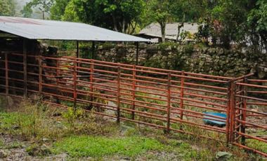 SE VENDE FINCA GANADERA VEREDA SAN BENITO AGUAZUL- VIA PAJARITO BOYACÁ