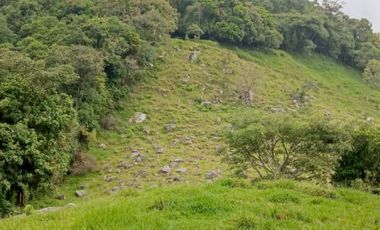 SE VENDE FINCA GANADERA VEREDA SAN BENITO AGUAZUL- VIA PAJARITO BOYACÁ