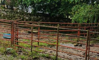 SE VENDE FINCA GANADERA VEREDA SAN BENITO AGUAZUL- VIA PAJARITO BOYACÁ