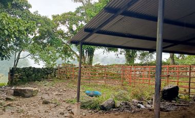 SE VENDE FINCA GANADERA VEREDA SAN BENITO AGUAZUL- VIA PAJARITO BOYACÁ