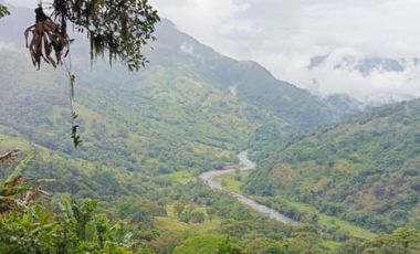 SE VENDE FINCA GANADERA VEREDA SAN BENITO AGUAZUL- VIA PAJARITO BOYACÁ