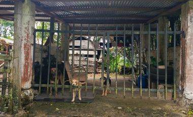 SE VENDE FINCA GANADERA VEREDA SAN BENITO AGUAZUL- VIA PAJARITO BOYACÁ