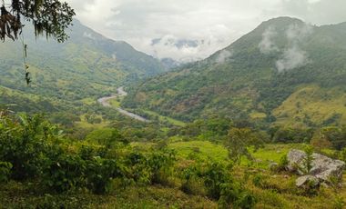 SE VENDE FINCA GANADERA VEREDA SAN BENITO AGUAZUL- VIA PAJARITO BOYACÁ