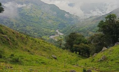 SE VENDE FINCA GANADERA VEREDA SAN BENITO AGUAZUL- VIA PAJARITO BOYACÁ