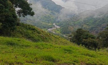 SE VENDE FINCA GANADERA VEREDA SAN BENITO AGUAZUL- VIA PAJARITO BOYACÁ