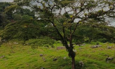 SE VENDE FINCA GANADERA VEREDA SAN BENITO AGUAZUL- VIA PAJARITO BOYACÁ