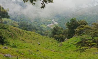SE VENDE FINCA GANADERA VEREDA SAN BENITO AGUAZUL- VIA PAJARITO BOYACÁ