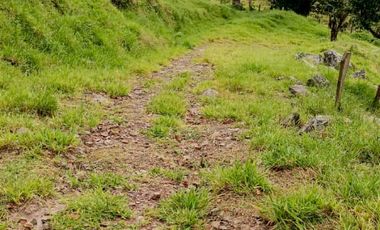 SE VENDE FINCA GANADERA VEREDA SAN BENITO AGUAZUL- VIA PAJARITO BOYACÁ