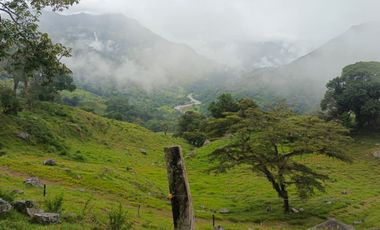 SE VENDE FINCA GANADERA VEREDA SAN BENITO AGUAZUL- VIA PAJARITO BOYACÁ