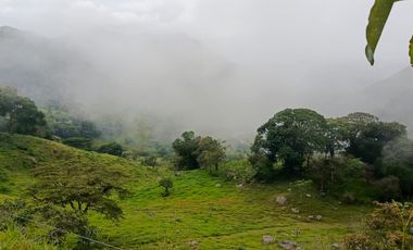 SE VENDE FINCA GANADERA VEREDA SAN BENITO AGUAZUL- VIA PAJARITO BOYACÁ