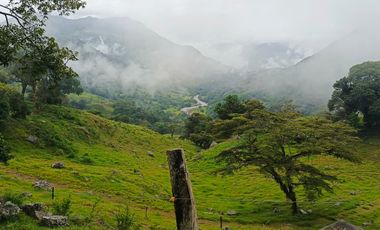 SE VENDE FINCA GANADERA VEREDA SAN BENITO AGUAZUL- VIA PAJARITO BOYACÁ