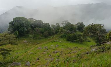 SE VENDE FINCA GANADERA VEREDA SAN BENITO AGUAZUL- VIA PAJARITO BOYACÁ