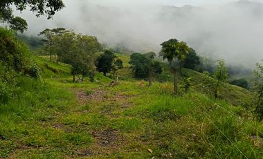 SE VENDE FINCA GANADERA VEREDA SAN BENITO AGUAZUL- VIA PAJARITO BOYACÁ