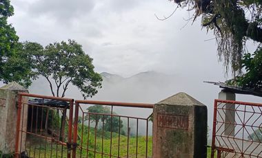 SE VENDE FINCA GANADERA VEREDA SAN BENITO AGUAZUL- VIA PAJARITO BOYACÁ