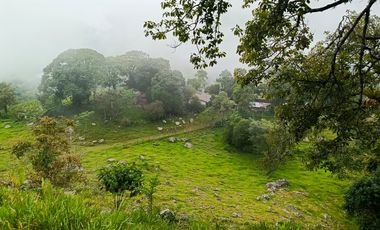 SE VENDE FINCA GANADERA VEREDA SAN BENITO AGUAZUL- VIA PAJARITO BOYACÁ