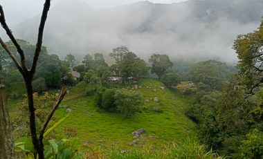 SE VENDE FINCA GANADERA VEREDA SAN BENITO AGUAZUL- VIA PAJARITO BOYACÁ