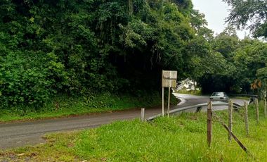 SE VENDE FINCA GANADERA VEREDA SAN BENITO AGUAZUL- VIA PAJARITO BOYACÁ