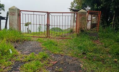 SE VENDE FINCA GANADERA VEREDA SAN BENITO AGUAZUL- VIA PAJARITO BOYACÁ