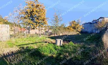 SE VENDE SITIO EN SANTA OLGA/CONSTITUCIÓN