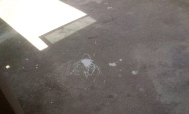 Rumah Minimalis, Taman Griya, jimbaran