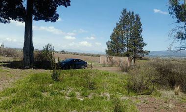 TERRENO 10,000 M2 SN LDIEGO TLALAYOTE HIDALGO