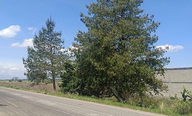 TERRENO 10,000 M2 SN LDIEGO TLALAYOTE HIDALGO