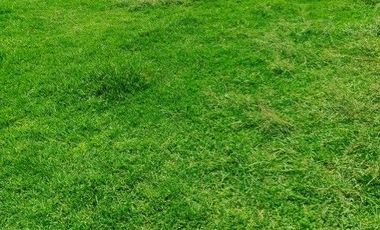 Rento casa en cuautlancingo en fracc. san rafael cerca VW y periférico