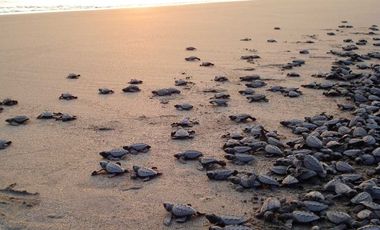 DEPARTAMENTO EN VENTA EN PUERTO ARISTA CHIAPAS GRNAD KUKE