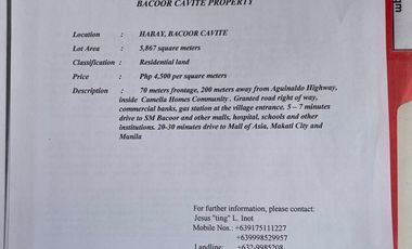 GOOD DEAL: Vacant Lot for Sale in Habay, Bacoor, Cavite