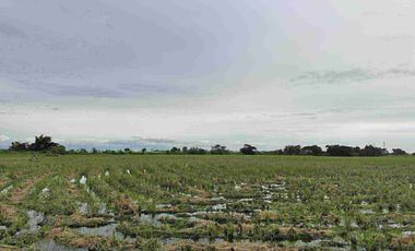 Commercial or Mixed use along the High way